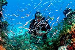 El Gouna Dive Centre - Red Sea